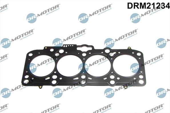 Gaskets DRM21234