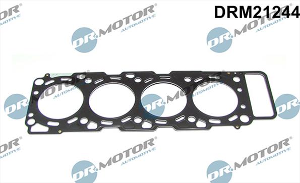 Gaskets DRM21244