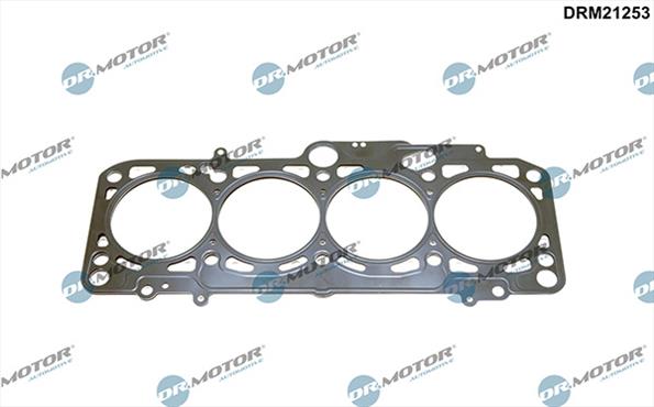 Gaskets DRM21253