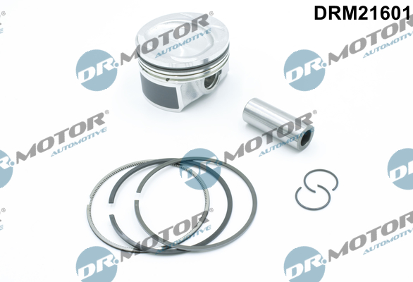 Motor DRM21601
