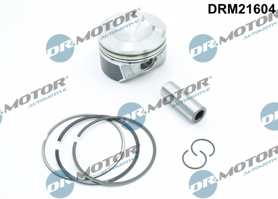 Motor DRM21604