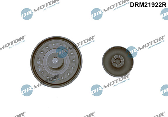 Motor DRM21922R