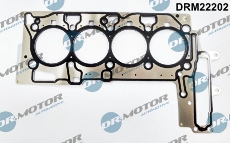 Gaskets DRM22202