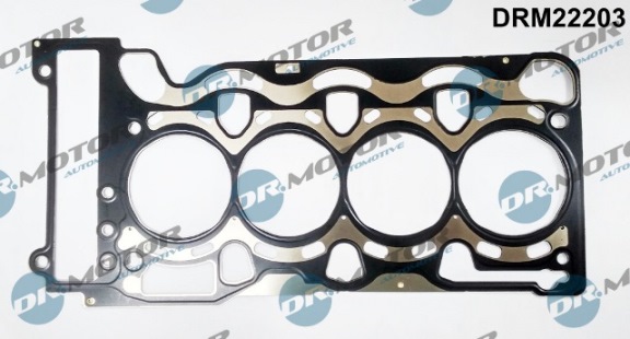 Gaskets DRM22203