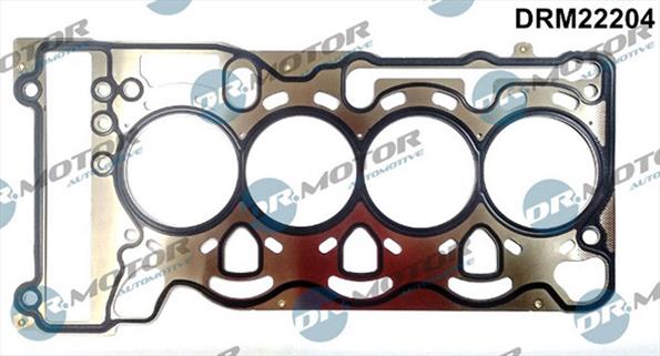 Gaskets DRM22204