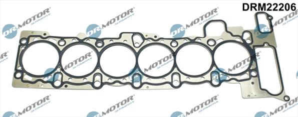 Gaskets DRM22206