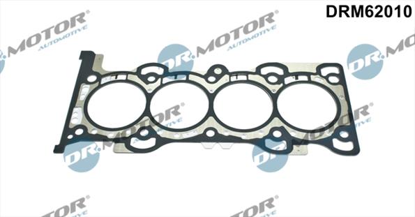 Gaskets DRM62010