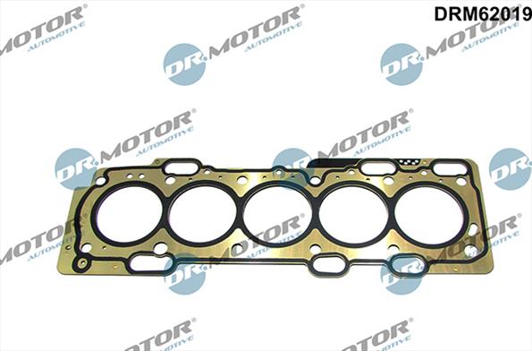 Gaskets DRM62019