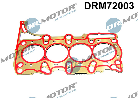 Gaskets DRM72003