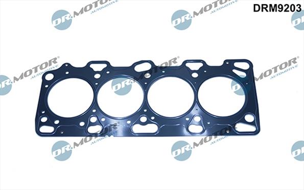 Gaskets DRM9203